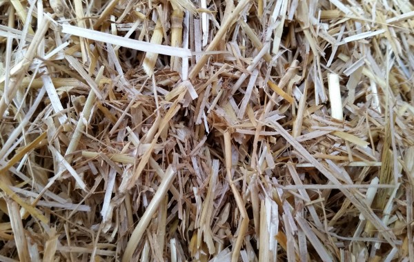 Chopped Straw