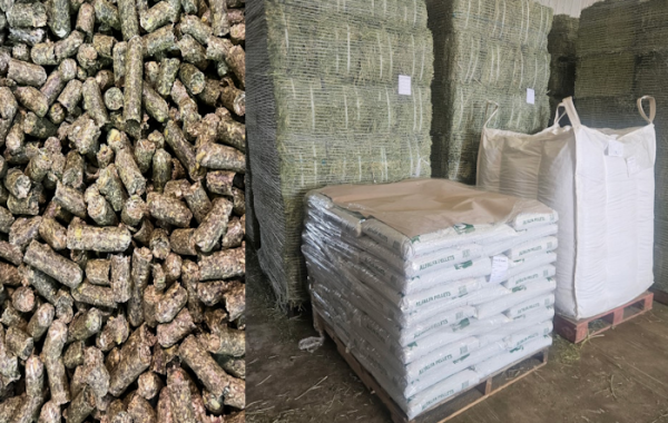 Alfalfa Pellets