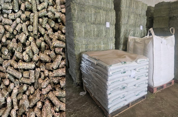 Alfalfa Pellets