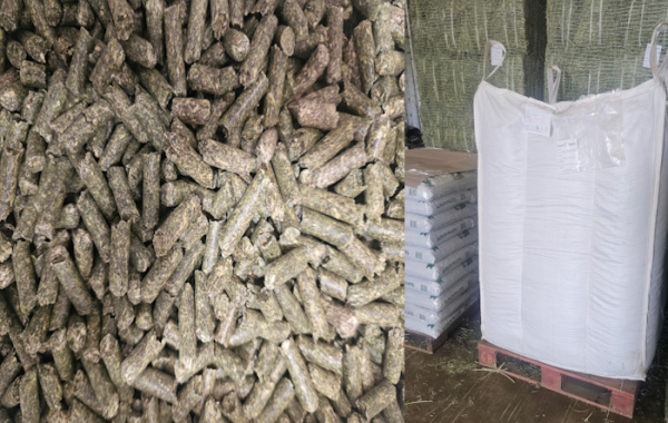 Timothy Pellets