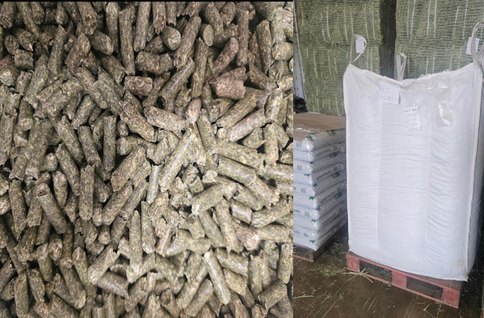 Timothy Pellets