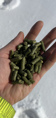 orchardgrass-pellets-product